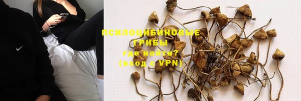 шишки Осташков