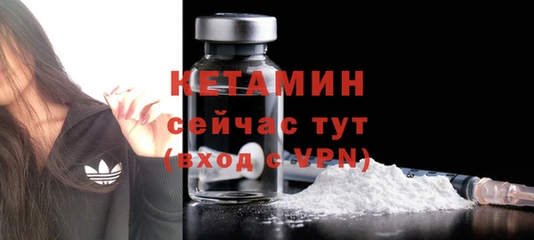 шишки Осташков