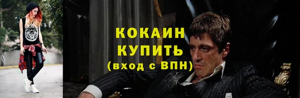 шишки Осташков