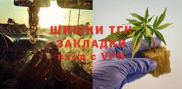 шишки Осташков