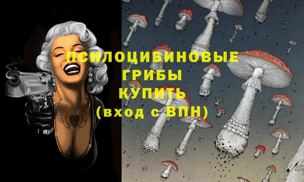 шишки Осташков