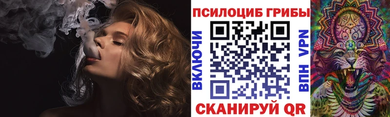 сколько стоит Приволжск Псилоцибиновые грибы MAGIC MUSHROOMS